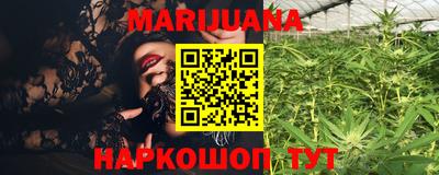 Альфа ПВП Моздок