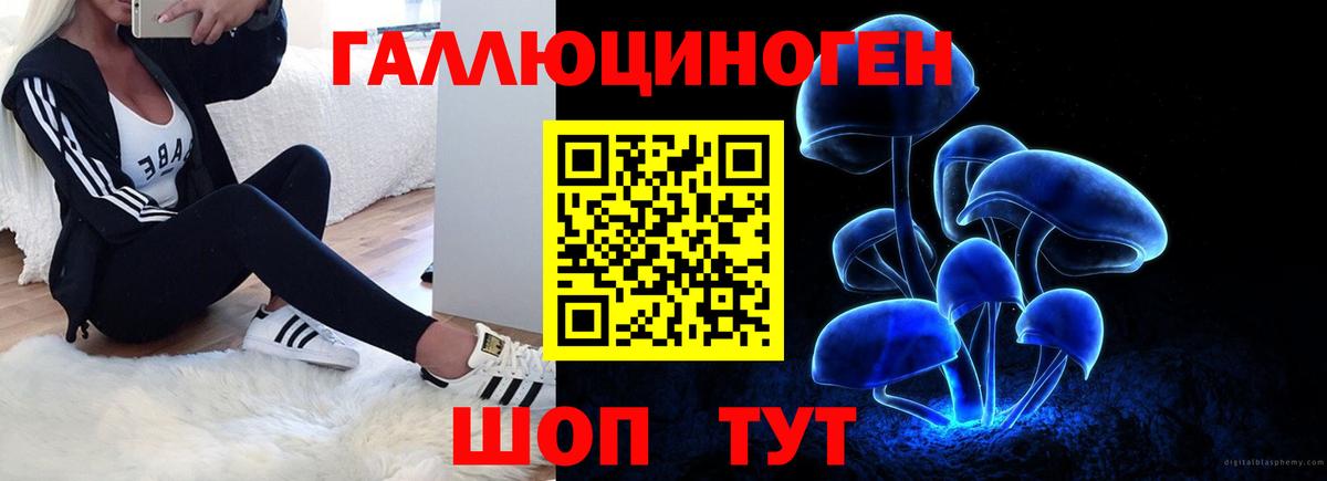 Галлюциногенные грибы GOLDEN TEACHER Рыбинск